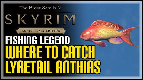 Lyretail Anthias. Caught in Temperate Streams Small in Size Rarely Caught Seen in Any Weather Caught with Alik'ri Fishing Rod It is said that the lyretail anthias is a social butterfly. One look at its color and you can see why. Its vibrant scales make even an Argonian jealous.