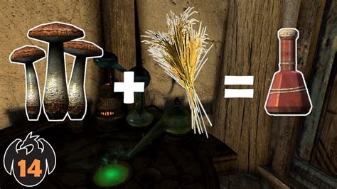 Skyrim making healing potions. This is a simple mod that edits Potions and Food. Healing Potions now slowly heal you over time, weaker potions heal you less over a long period of time and stronger potions heal more over a shorter period of time. The same goes for the Magicka and Stamina potions. Other potions last longer. Most fortify potions now last 5 minutes while others ... 