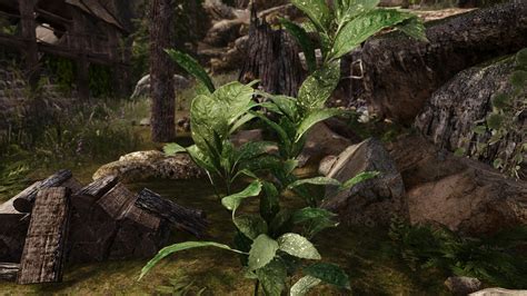 Skyrim plantable crops. In The Elder Scrolls V: Skyrim, the player can harvest not only the ingredient category items but also food category items in the farms. There are a number of farms, plots, and gardens scattered across Morrowind, Cyrodiil, Skyrim. All ingredients and foods harvested from plants will eventually grow back, usually in a … See more 