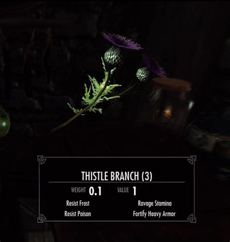 Skyrim thistle branch. Milk Thistle Branch xx 6018BC: Light: Frost Damage: Cure Poison: Paralysis: 1: 0.1: Common: Harvested from Milk Thistle plant: 12 in 5 locations, most notably Northfringe Sanctum: Motherwort Sprig xx 602800: Resist Poison: Damage Stamina: Damage Magicka: Cure Poison: 2: 0.1: Common: Harvested from Motherwort plant: 1 carried by Marc Dufonte ... 