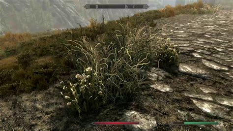Nexus Skyrim SE RSS Feed. Cathedral - 3D Tundra Cotton. A 3D replacer for the dreaded tundra cotton plant that improves performance.View the original Mod page.. 