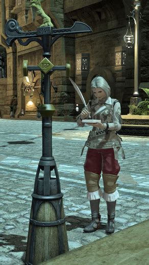 Skywatcher ffxiv. Things To Know About Skywatcher ffxiv. 
