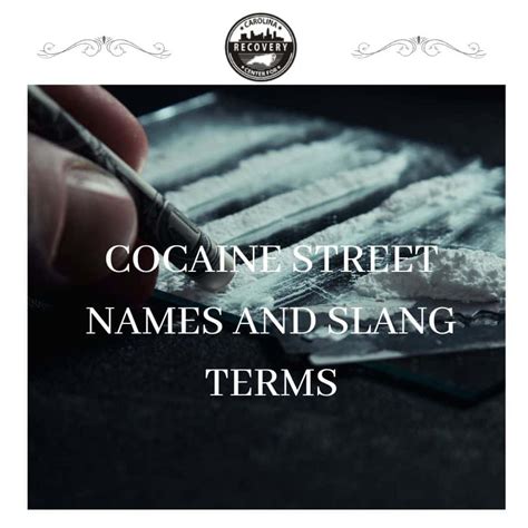 Slang for Cocaine: Drug Slang Terms And Nicknames For ...