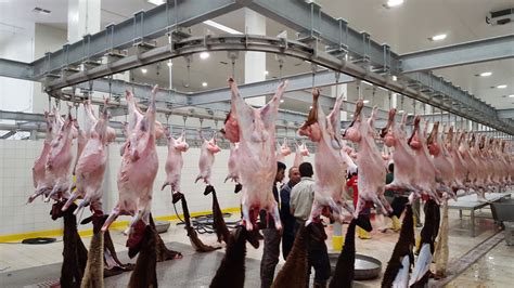 Slaughterhouses near me. Things To Know About Slaughterhouses near me. 