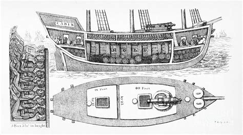 Slave Ship Diagram Smithsonian Ocean