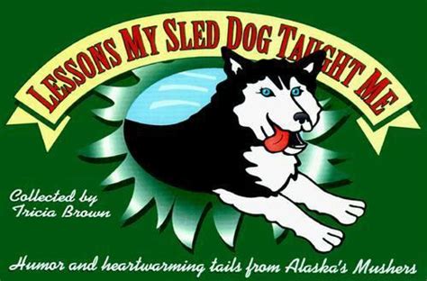 Download Sled Dog Wisdom Humorous And Heartwarming Tales Of Alaskas Mushers By Tricia Brown