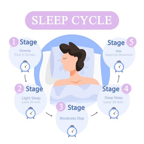 Sleep cycle calculator. Use our sleep cycle calculator to determine your best sleep time. These stages of sleep are: Stage 1 - The lightest stage of NREM sleep. This drowsy sleep stage is often defined by the presence of slow eye movements, and people are often easily disrupted causing awakenings or arousals. Muscle activity relaxes and brain wave activity begins to slow. 