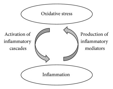 Sleeping+ Reduces Stress And Inflammation Most