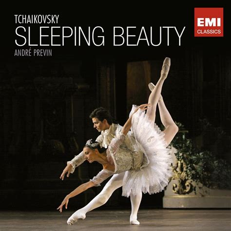 Sleeping beauty of tchaikovsky dance guides. - Wealth consciousness a guide from babaji for prosperity.