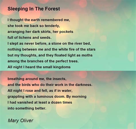 Sleeping in the forest by Mary Oliver - Majestic Grades