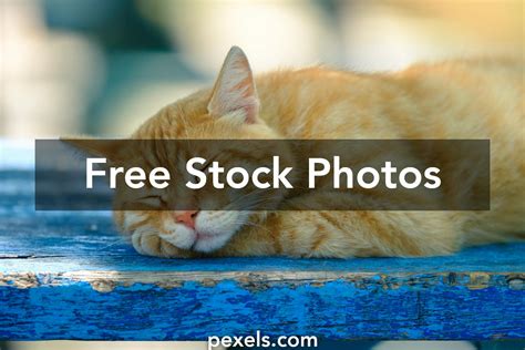 Sleeping pussy play. .  <a href=https://empower-health-cms.cierra.dev/assets/imag...