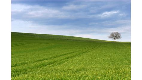 Slidell obituaries. .  <a href=https://volkswagen-gomel.by:443/lkm0/franklin-county-ohio-jobs.ht...