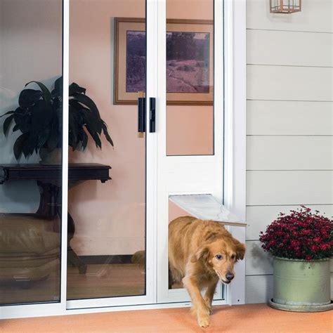 Sliding glass door with dog door built in. The PlexiDor® Glass Series is a revolutionary patio door with pet door built in. This new product allows you to easily convert your sliding glass door into a dog door. These prefabricated glass units feature a … 