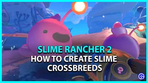 Slime Rancher 2 How to Create Slime Crossbreeds