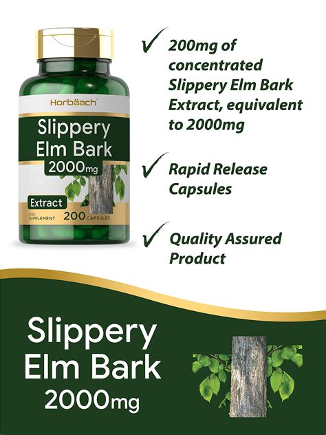 Slippery Elm 5000mg Psyllium Husk 2000mg Pre Probiotic Digestive 