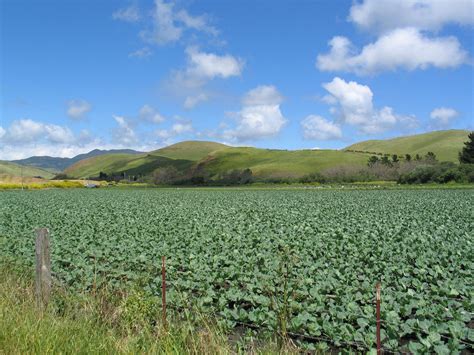 Slo County Ag Commissioner in San Luis Obispo, CA - Yellow Pages