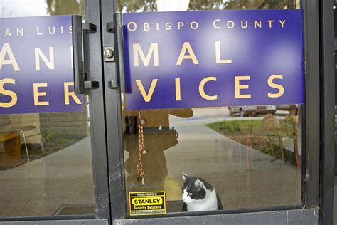 Slo animal services. Animal Control (County-Wide) Directions. Physical Address: 885 Oklahoma Avenue. San Luis Obispo, CA 93405. Mailing Address: Paso Robles, CA 93446. Phone: 805-781-4400. 