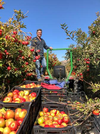 Slo creek farms apple picking.  &rdquo; in 4 reviews &ldquo; They had a sm...