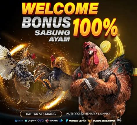 Slot bonus 100 to kecil aman. Sabung ayam deposit pakai pulsa.