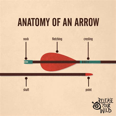 Slot in the end of an arrow