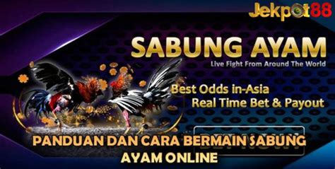 Slot kembar jitu hari ini. Cara bermain sabung ayam online.