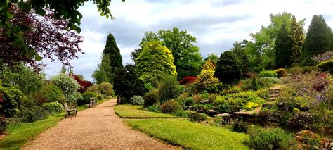 Slough observer.  Visit newsquest. .  The Slough Observer, Reading.  Latest Slough news,...