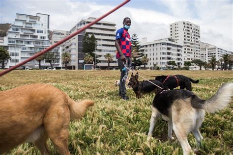 Slovenia: Bear lightly injures dog walker, amid cull debate