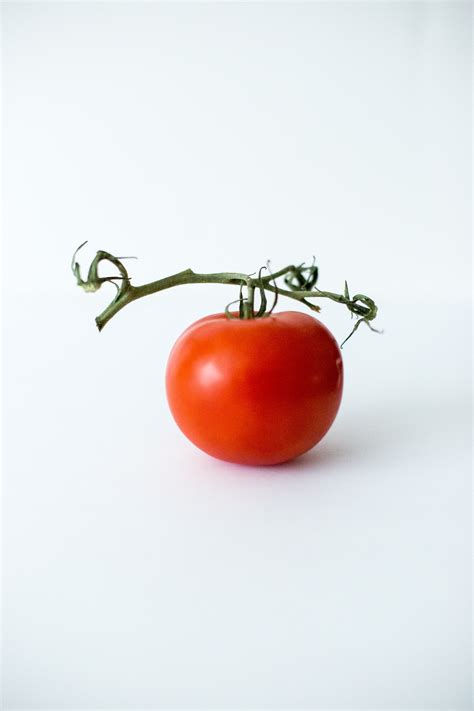 Slow Down Tomato Ripening and Lettuce Rot