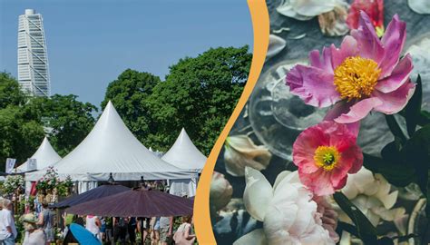 Slow Flower Grand Prix avgörs på Malmö Garden Show - anmäl …