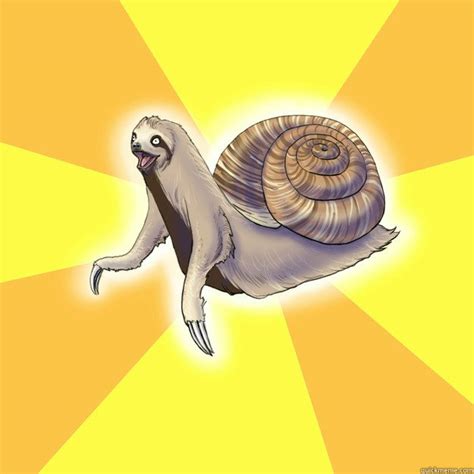 Slow Snail-Sloth memes quickmeme