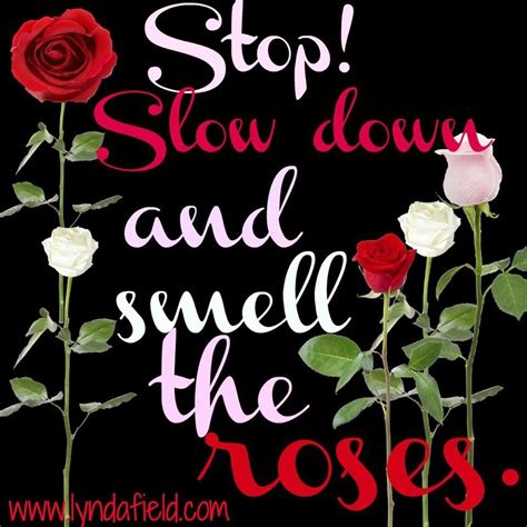 Slow down and smell the roses quote via www.LyndaField.com