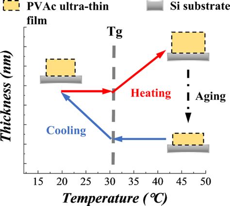 Slow dynamics in thermal expansion of polyvinyl acetate …