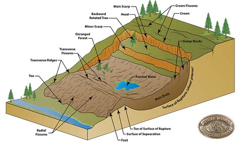 Discuss the factors that increase the likelihood of landslides. Describe the different types of gravity-driven movement of rock and soil. Describe ways to prevent and be aware of potential landslides or mudflows. Vocabulary. avalanche; creep; landslide; mass movement; mass wasting; mudflow; slump; talus slope; Introduction. 