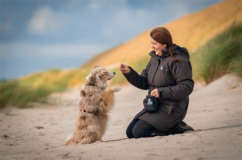 Sluta med kortison hund