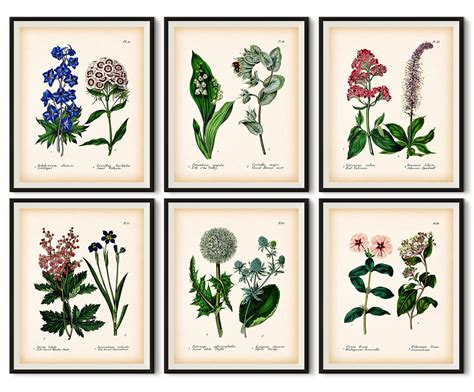 Small Botanical Prints - Etsy UK