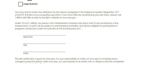 Small Business Self Certification Statement PDF Form FormsPal