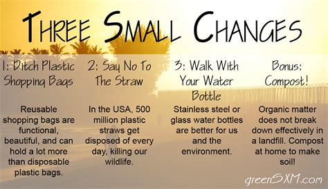 Small Changes You Can Make Today to Help the Environment