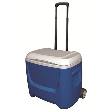 Small Cooler On Wheels Wayfair