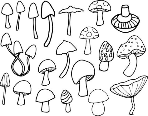 Small Mushroom Drawing
