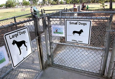Small dog park. It happened around 1:30 p.m. A large dog and a small dog got in a fight at the park according to a spokesperson with the Washoe County Sheriff's Office. The owner of the small dog tried to break up the fight and got bit by the bigger dog. The owner of the smaller dog then pulled a gun and shot the dog that bit them. That dog died at the scene. 