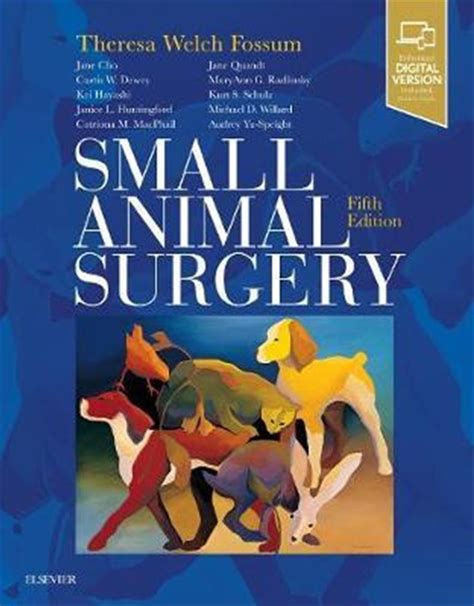 Read Online Small Animal Surgery Expert Consult  Online And Print By Theresa Welch Fossum