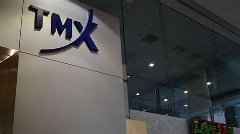 Small-cap companies not ready for climate disclosure rules: TMX Group CEO