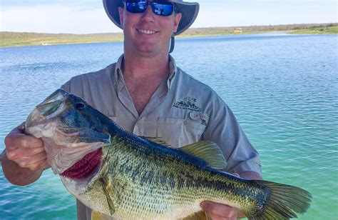 Smallmouth Bass - Lochow Ranch Pond & Lake Management