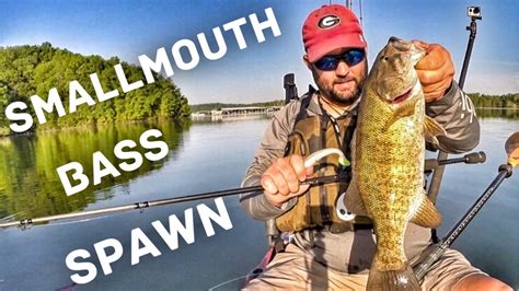 Smallmouth Bass Fishing Tips - Pennsylvania Fish and Boat …