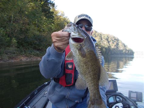 Smallmouth Bass Guides In Tennessee - Captain Experiences