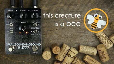 Smallsound/Bigsound Buzzz Regent Sounds