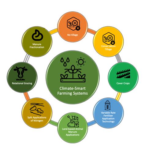 system practices illustration