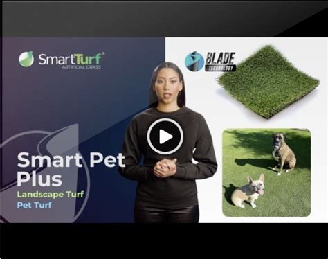 Smart Pet Plus.