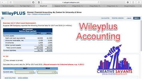 Smart Statement Wileyplus Check Balance Sheet Of Private Limited