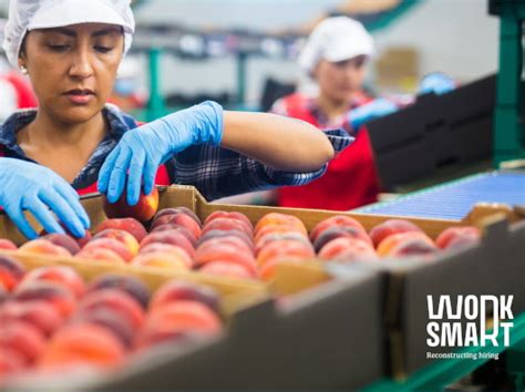 Smart employment agency poole. .  ...